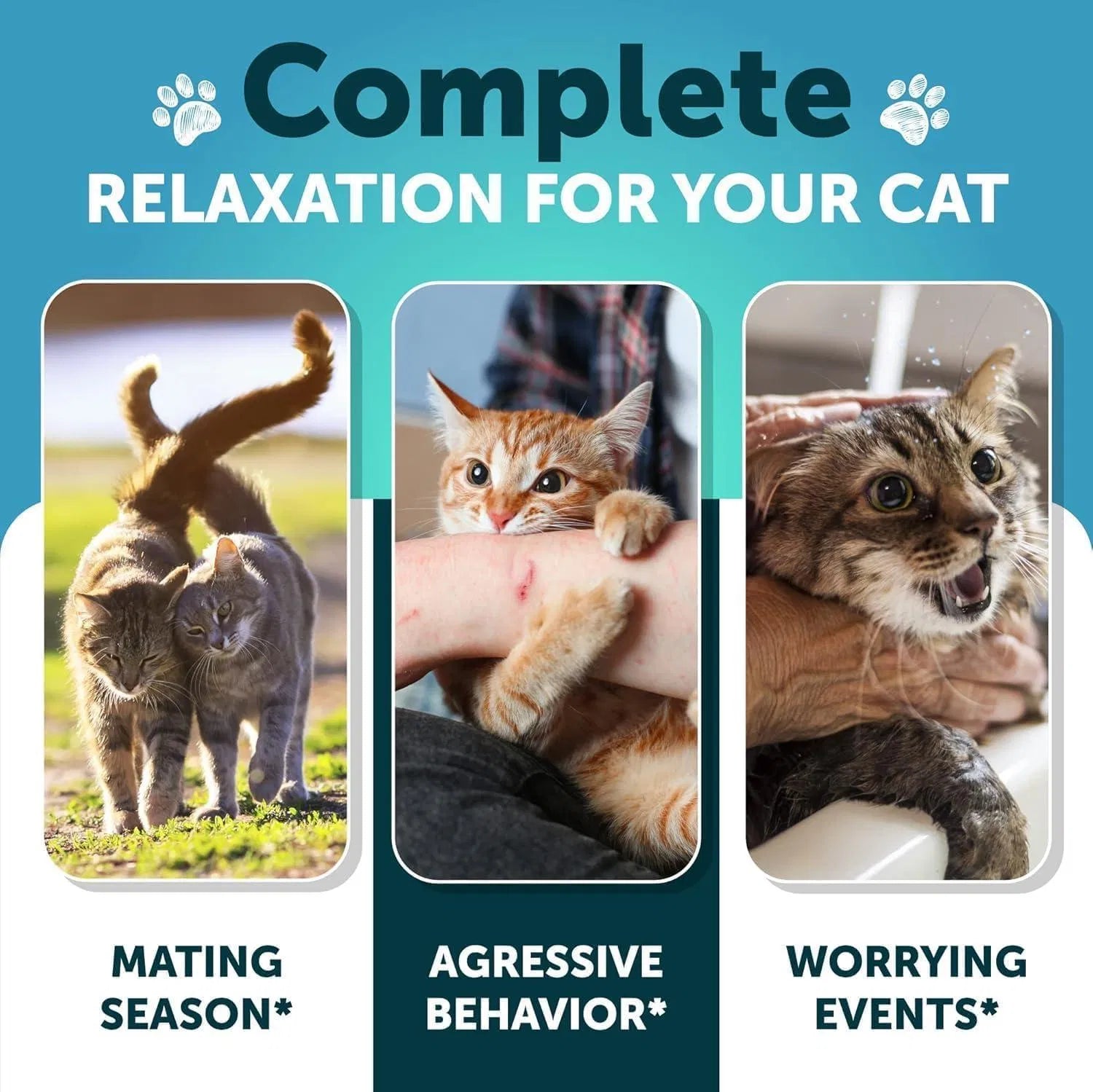 Hemp Cat Calming Treats for Stress & Anxiety Relief Cat Kittens Melatonin