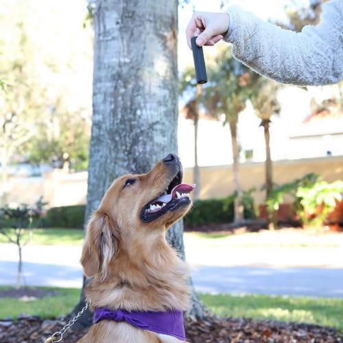 Every Day Naturals Dog Dental Chew, No Brush Toothpaste for Medium Breeds, Freshens Breath, Unique Texture Helps Reduce Plaque & Tartar, 14 oz, 1 Pack