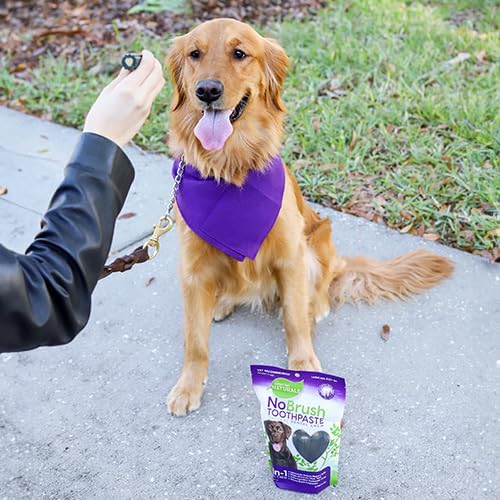 Every Day Naturals Dog Dental Chew, No Brush Toothpaste for Medium Breeds, Freshens Breath, Unique Texture Helps Reduce Plaque & Tartar, 14 oz, 1 Pack