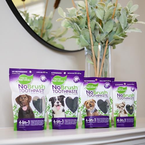 Every Day Naturals Dog Dental Chew, No Brush Toothpaste for Medium Breeds, Freshens Breath, Unique Texture Helps Reduce Plaque & Tartar, 14 oz, 1 Pack