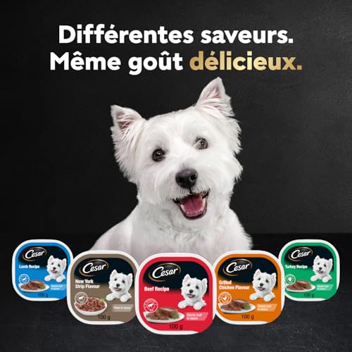 CESAR Classic Loaf in Sauce Adult Wet Dog Food Beef Selects Variety Pack, 24x100g Trays