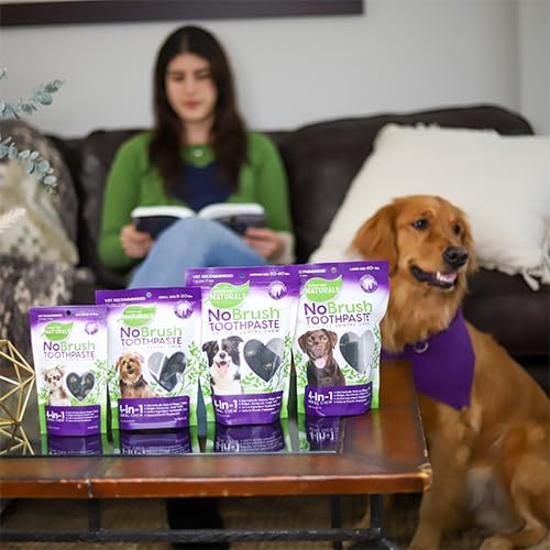 Every Day Naturals Dog Dental Chew, No Brush Toothpaste for Medium Breeds, Freshens Breath, Unique Texture Helps Reduce Plaque & Tartar, 14 oz, 1 Pack