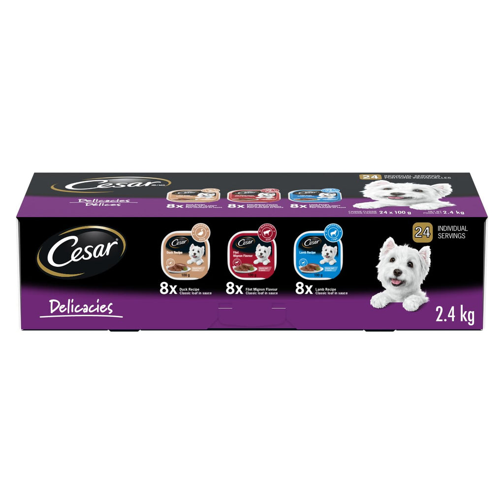 CESAR Classic Loaf in Sauce Adult Wet Dog Food Beef Selects Variety Pack, 24x100g Trays