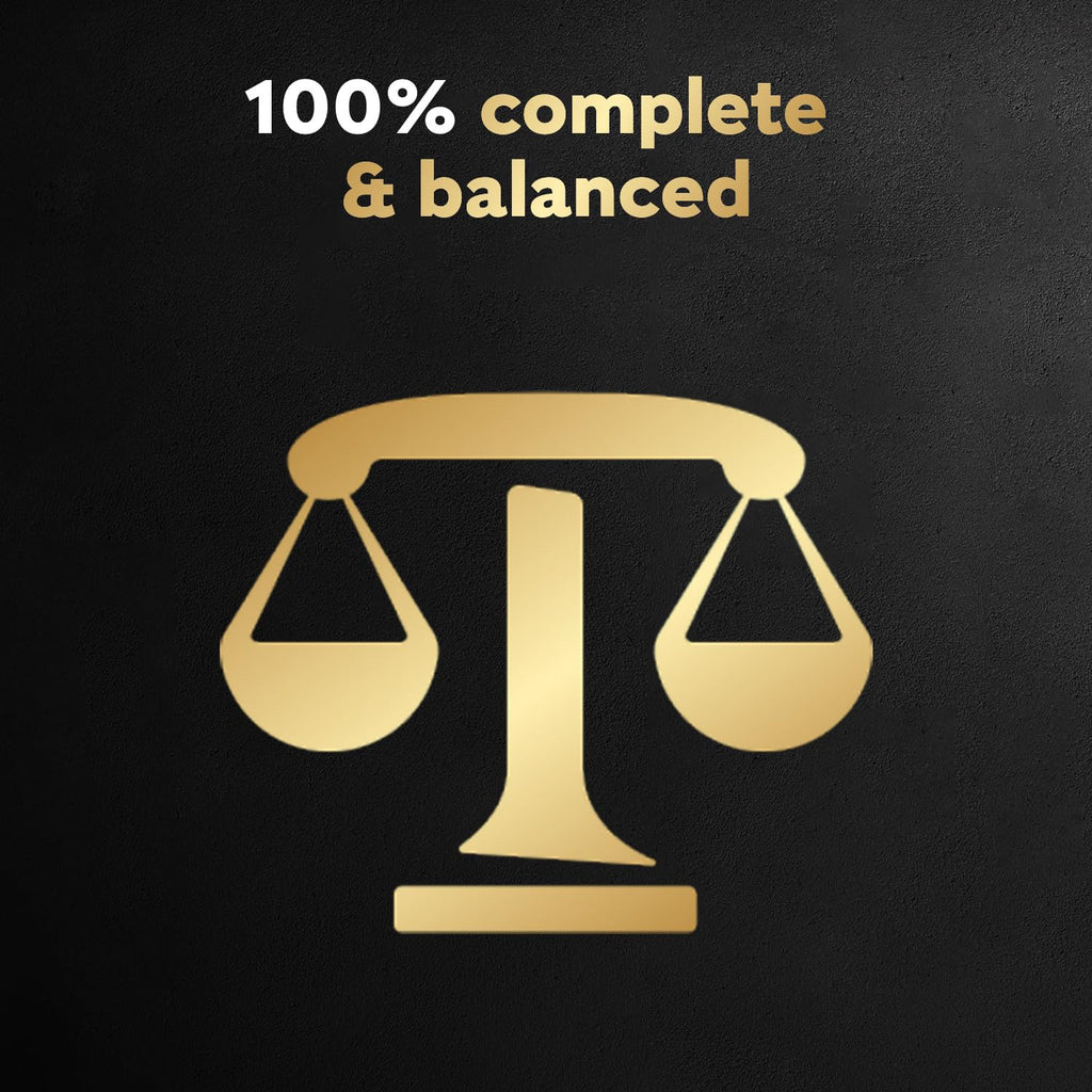 CESAR Classic Loaf in Sauce Adult Wet Dog Food Beef Selects Variety Pack, 24x100g Trays