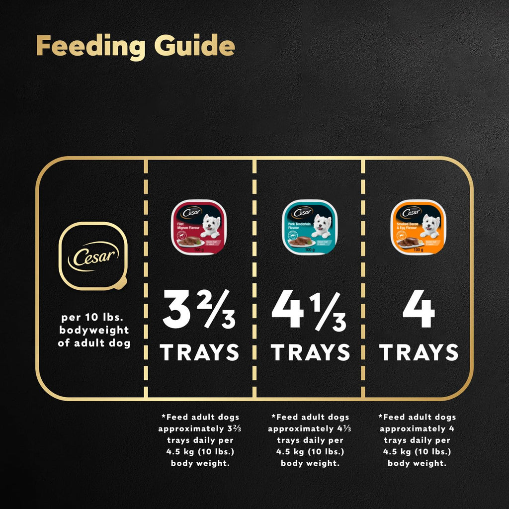 CESAR Classic Loaf in Sauce Adult Wet Dog Food Beef Selects Variety Pack, 24x100g Trays