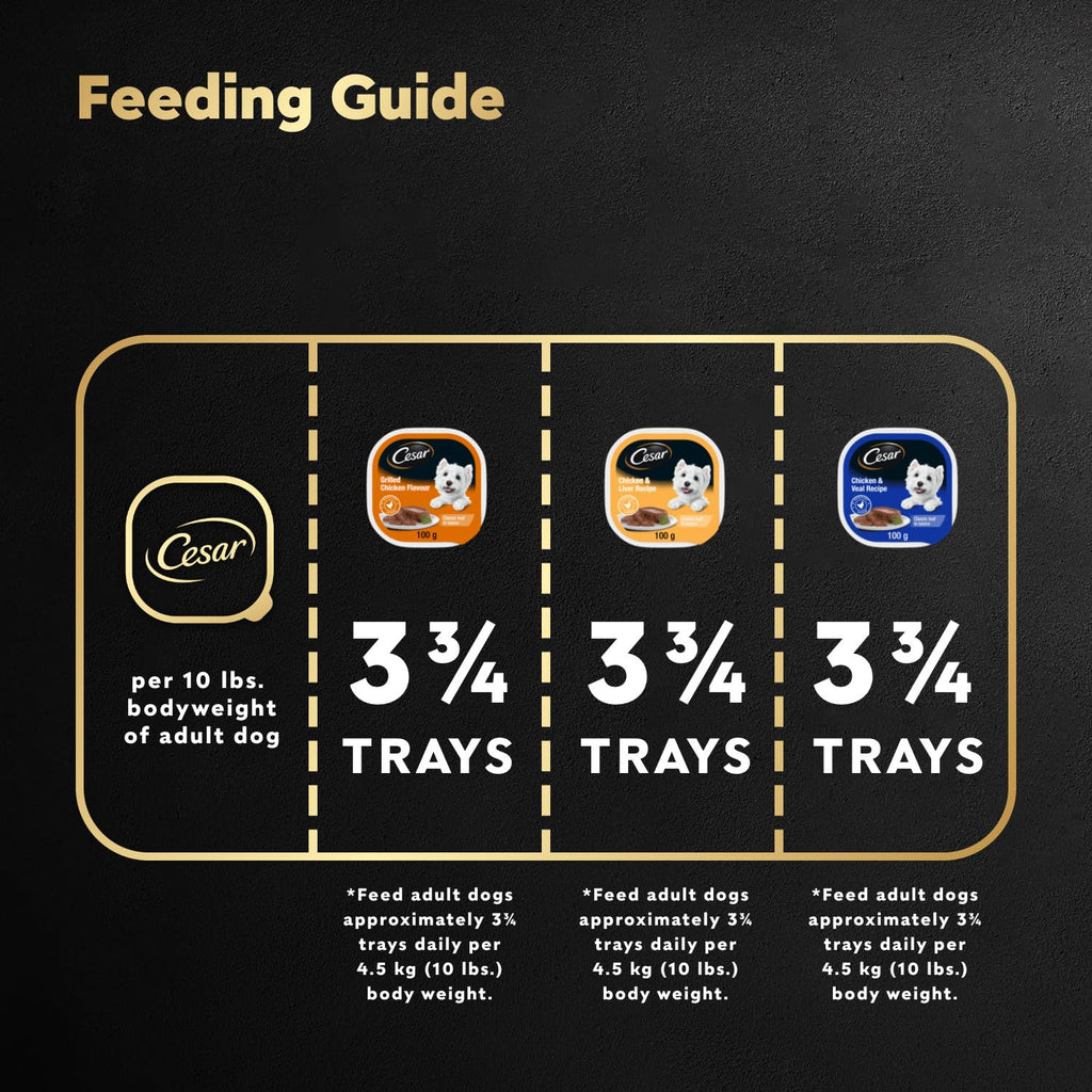 CESAR Classic Loaf in Sauce Adult Wet Dog Food Beef Selects Variety Pack, 24x100g Trays