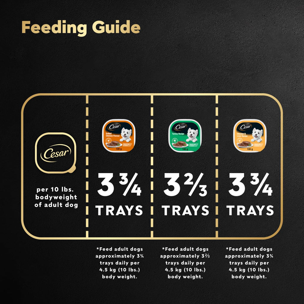 CESAR Classic Loaf in Sauce Adult Wet Dog Food Beef Selects Variety Pack, 24x100g Trays