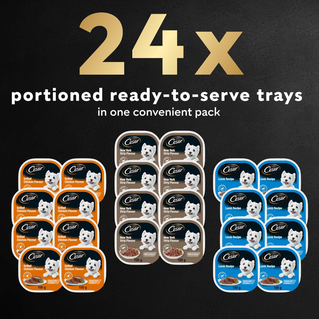 CESAR Classic Loaf in Sauce Adult Wet Dog Food Beef Selects Variety Pack, 24x100g Trays