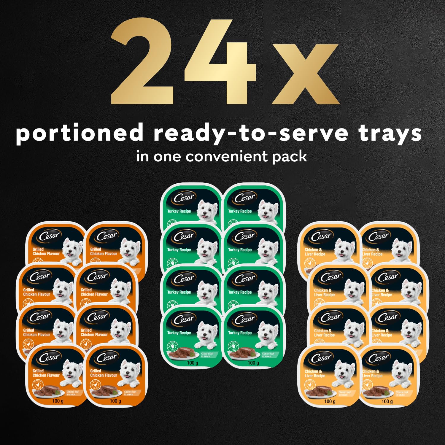 CESAR Classic Loaf in Sauce Adult Wet Dog Food Beef Selects Variety Pack, 24x100g Trays