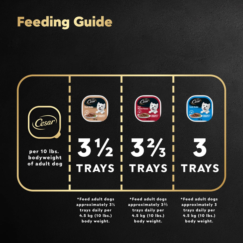 CESAR Classic Loaf in Sauce Adult Wet Dog Food Beef Selects Variety Pack, 24x100g Trays