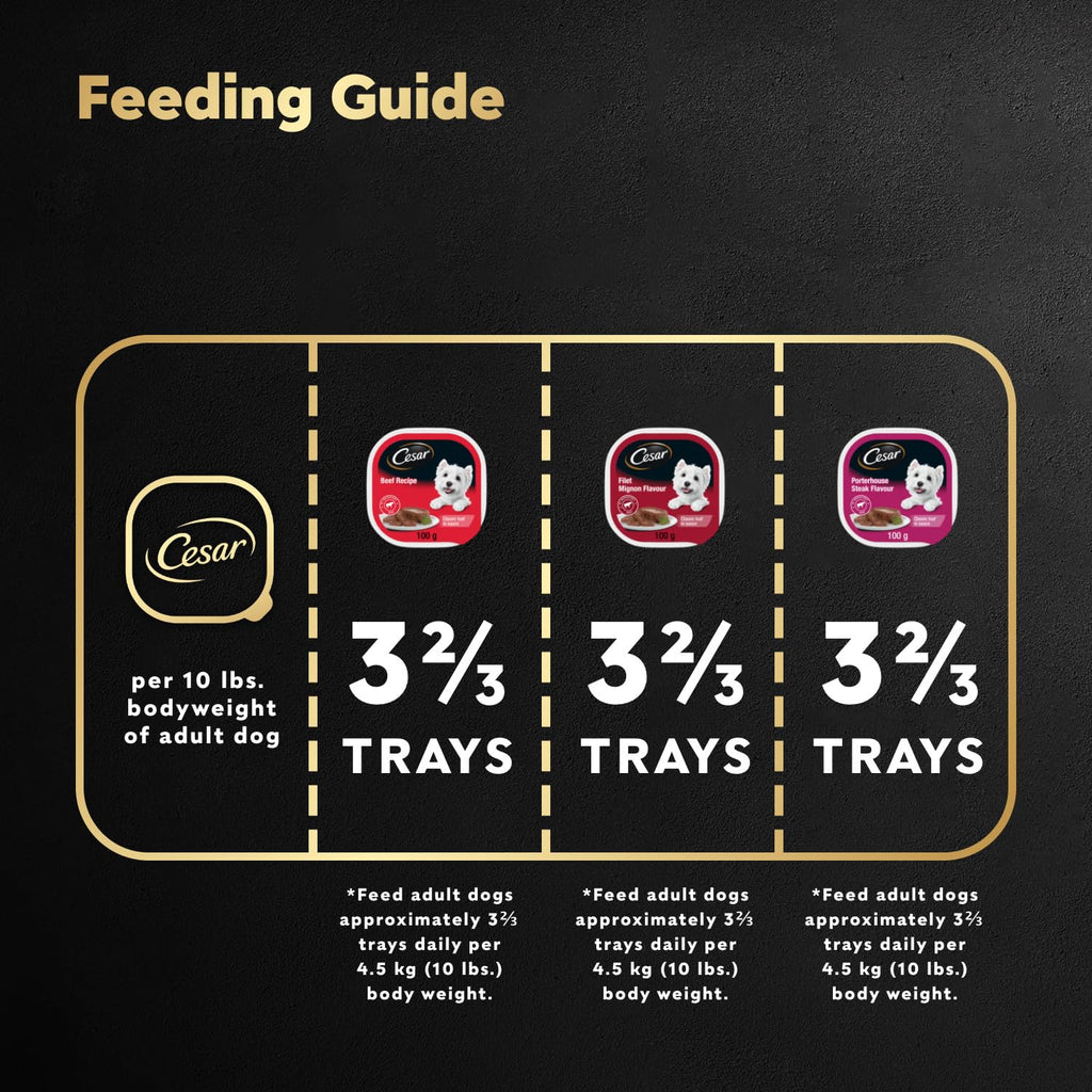 CESAR Classic Loaf in Sauce Adult Wet Dog Food Beef Selects Variety Pack, 24x100g Trays