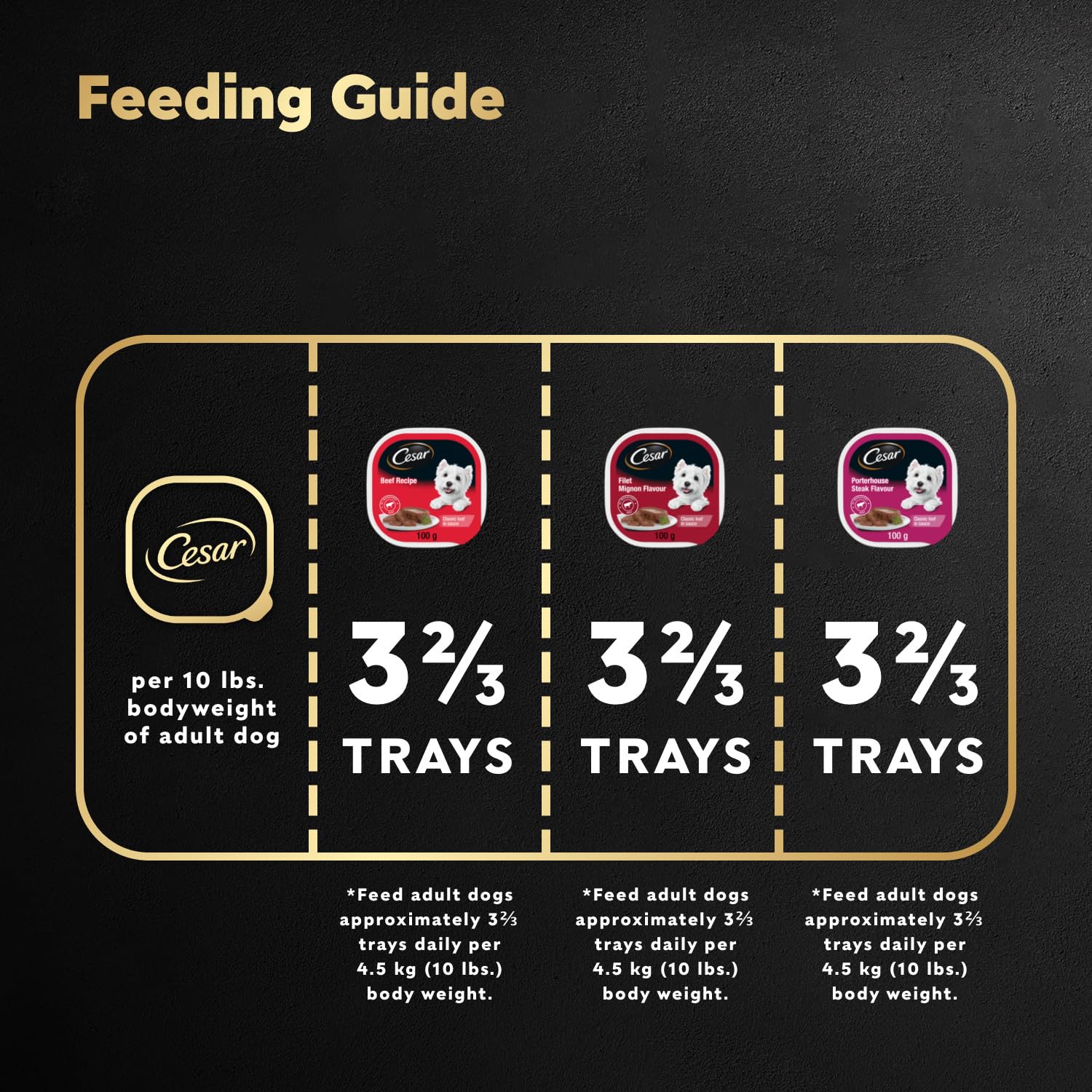 CESAR Classic Loaf in Sauce Adult Wet Dog Food Beef Selects Variety Pack, 24x100g Trays