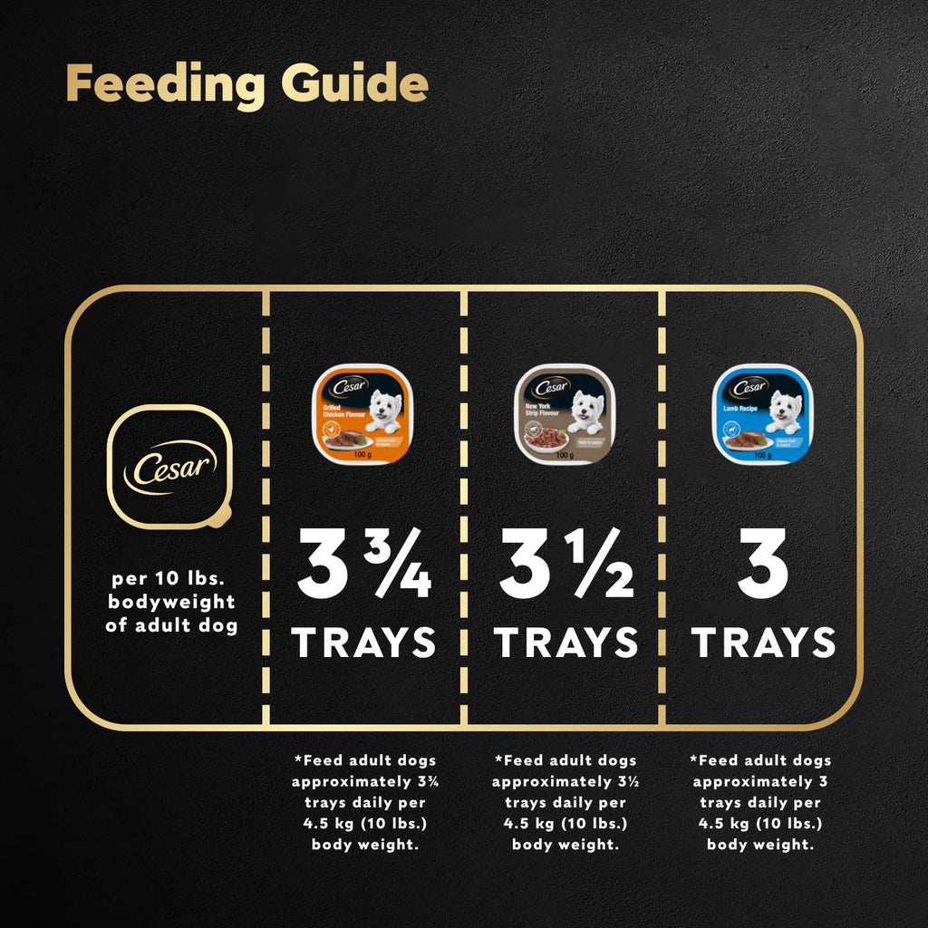 CESAR Classic Loaf in Sauce Adult Wet Dog Food Beef Selects Variety Pack, 24x100g Trays