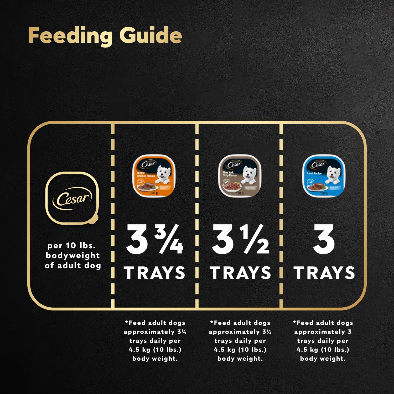 CESAR Classic Loaf in Sauce Adult Wet Dog Food Beef Selects Variety Pack, 24x100g Trays