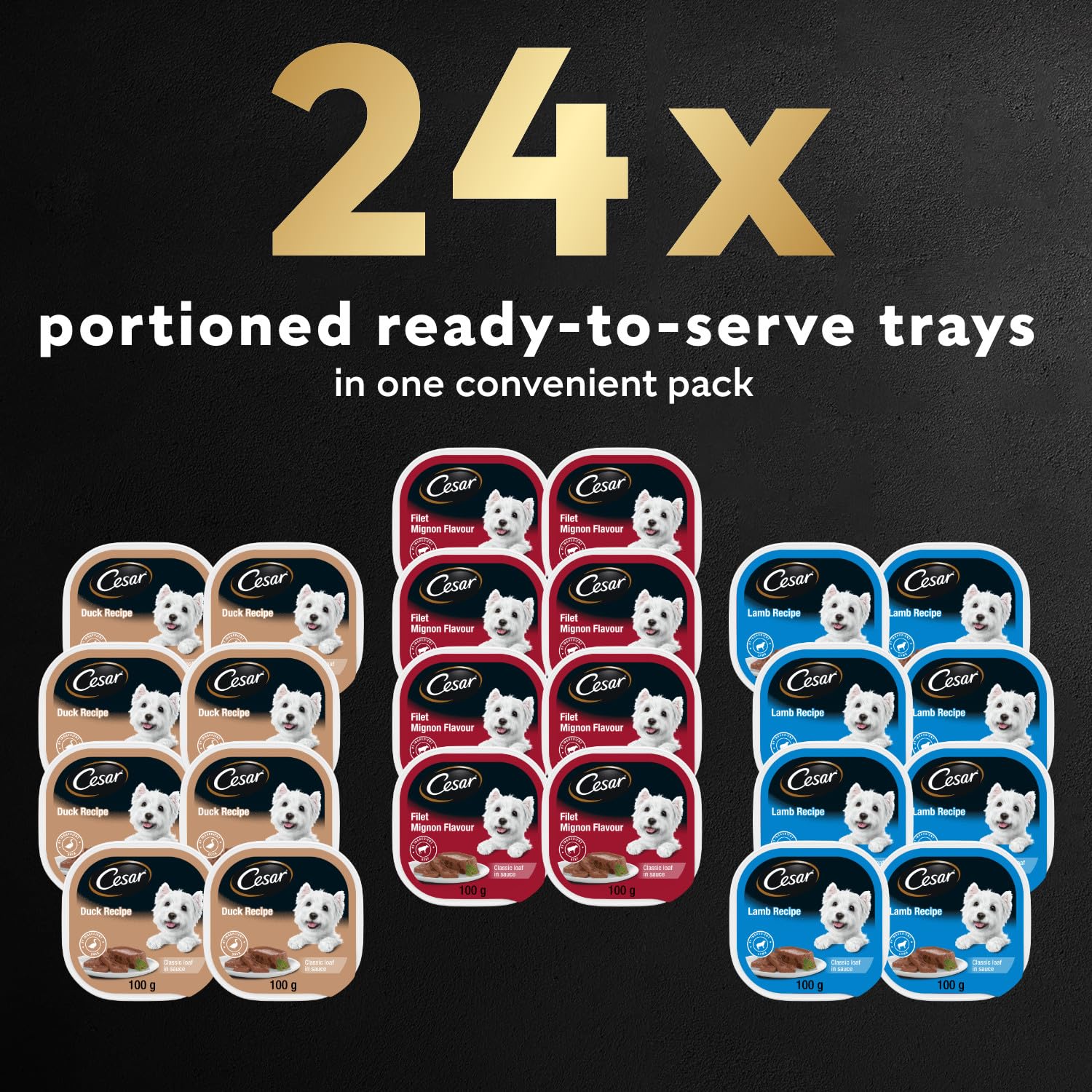 CESAR Classic Loaf in Sauce Adult Wet Dog Food Beef Selects Variety Pack, 24x100g Trays